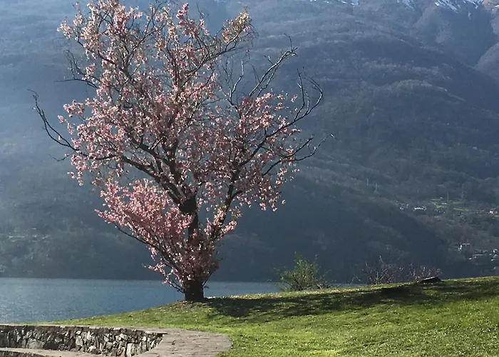 Riflessi Di Dorio